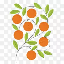 水果平面设计艺术插画.橙色图案