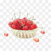 樱桃画彩色铅笔草莓插图.手绘樱桃