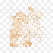 花瓣花卉图案-莲花