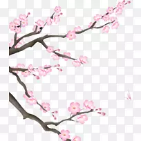 YY.com现场电视舞蹈Bilibili视频-梅花