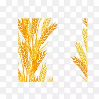 动画剪贴画-小麦装饰图案