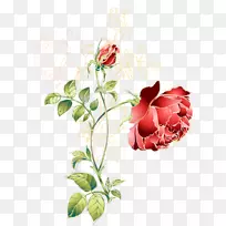 花红绿色手绘玫瑰