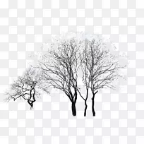 冬日白雪皑皑的树木