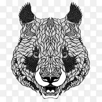 熊大熊猫插图-卡通熊