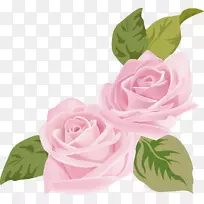粉红插花艺术-粉红色玫瑰
