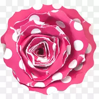 花园玫瑰沙滩玫瑰蜈蚣玫瑰圆点-圆点玫瑰