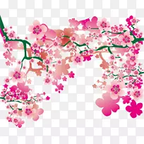 樱花画手绘樱桃图案