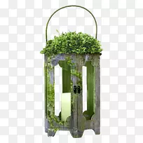 绿色拱形花盆-创意蜡烛灯