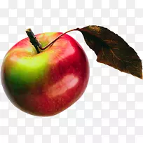 附件水果静物摄影苹果麦金托什实验室墙纸-红苹果