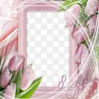 画框花设计粉红色花-粉红色玫瑰框架