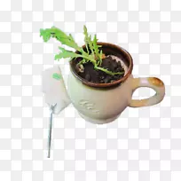 茶咖啡杯牛奶碳酸水巧克力盆栽饮料