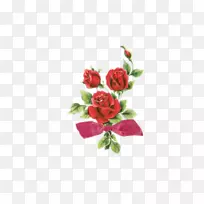 玫瑰免费内容剪辑艺术-红玫瑰绽放