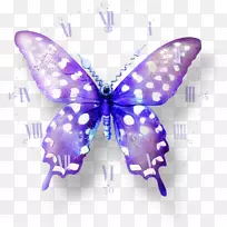 蝴蝶蛾-蝴蝶图案，美丽的紫色蝴蝶