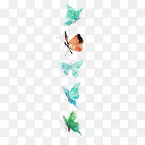 水彩画图形设计插图.蝴蝶