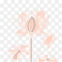 花卉设计花瓣图案-创意线画莲花