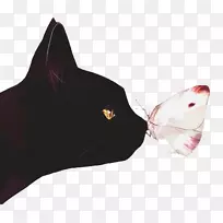 黑猫蝴蝶插图-猫和蝴蝶