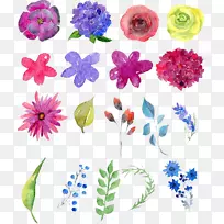 花卉设计水彩画花卉