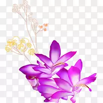 紫花图案.手绘紫色莲花