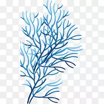 珊瑚海剪贴画-绿藻装饰设计