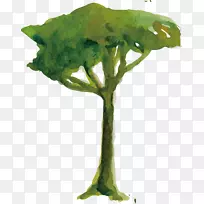 水彩画插图-绿树插图设计