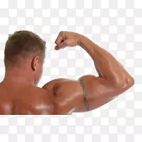 肱二头肌手臂健美运动-显示强健手臂的男子HD扣材料
