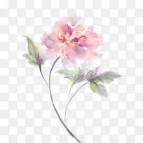 花卉设计师-水彩花卉材料