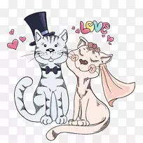 猫婚礼新郎插图-一对猫