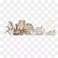 花卉摄影宣传册玫瑰-婚礼元素