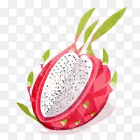 草莓火龙果蔬菜插图.手绘龙果