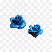 玫瑰科-粉末蓝玫瑰