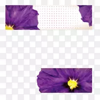 花瓣紫罗兰旗花-音符花瓣