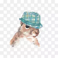 暹罗猫松鼠画.水彩画猫图案