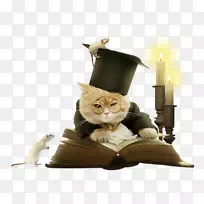 猫剪贴画-博士。猫读