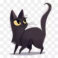 孟买猫鸟波斯猫索马里猫布娃娃黑猫