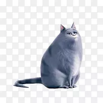 杰克罗素猎犬环球图片宠物电影-大胖猫卡通创意