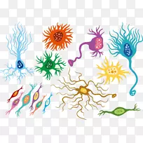 神经元花设计人工神经网络-彩色人神经网络