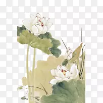 尼龙波·努西费拉画宫壁-余志珍莲花