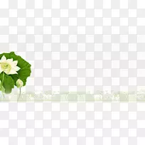 宗子端午节海报-装饰元素，莲花，绿色