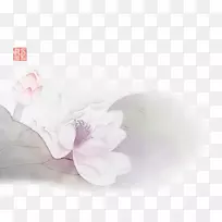 布扎亚天河儒学的中庸二胡-传统水墨画莲花