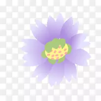 紫莲花-紫莲装饰