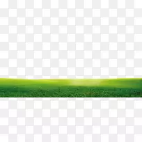 草地天空大气壁纸绿色鲜草边缘纹理