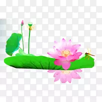 叶下载-荷叶莲花