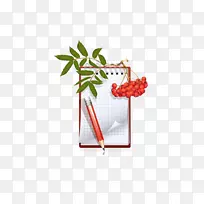 纸作业笔写作业书