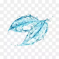 椰子水花卉砧木摄影水离子化器叶水