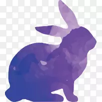 兔肉水彩画-彩色动物剪影套装