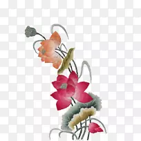 莲藕花卉设计植物手绘莲花