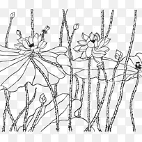 风画莲花画线艺术-风画莲花