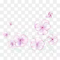 普通向日葵线水彩画粉红色花