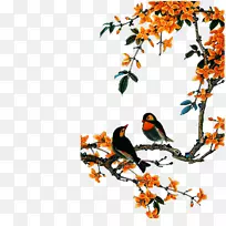 花鸟画中央美术学院-鸟语树