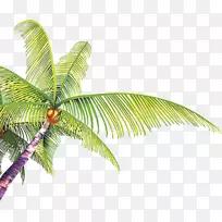 夏季海报-手绘卡通椰子叶